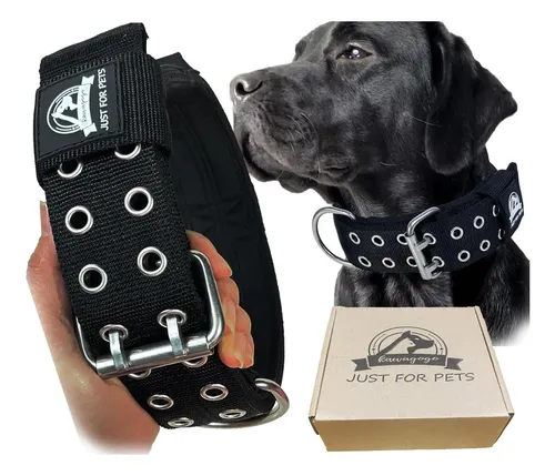 Collar para perro Grande - Image 2