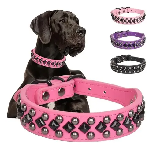 Collar para perro Grande - Image 3