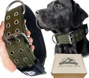 Collar para perro Grande