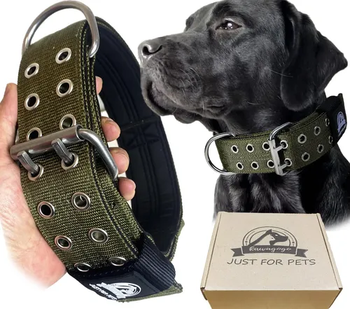 Collar para perro Grande